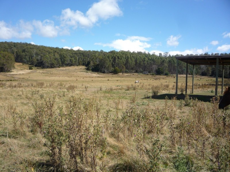 493 Priestleys Lane, Birralee TAS 7303