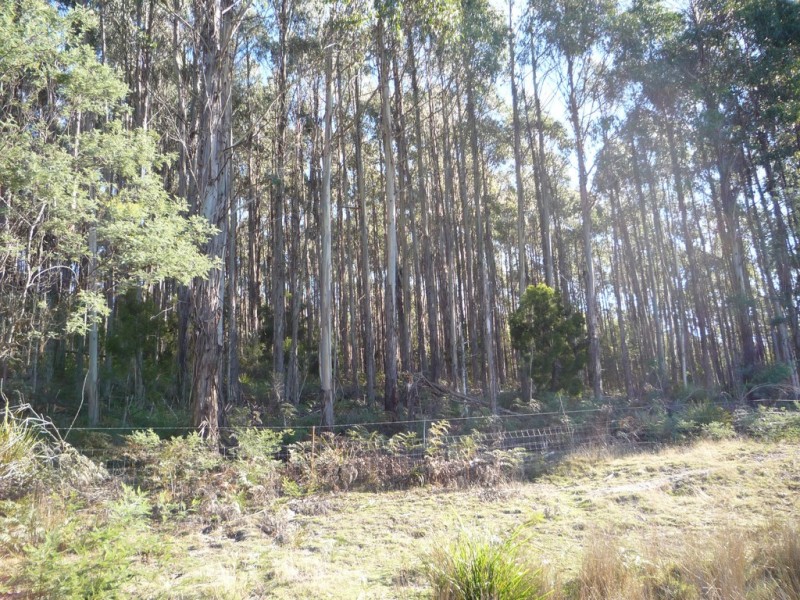 493 Priestleys Lane, Birralee TAS 7303