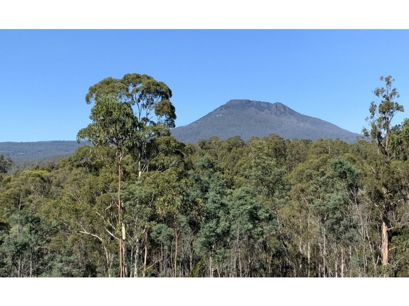 Lot 1 Maroneys Road, Quamby Brook TAS 7304