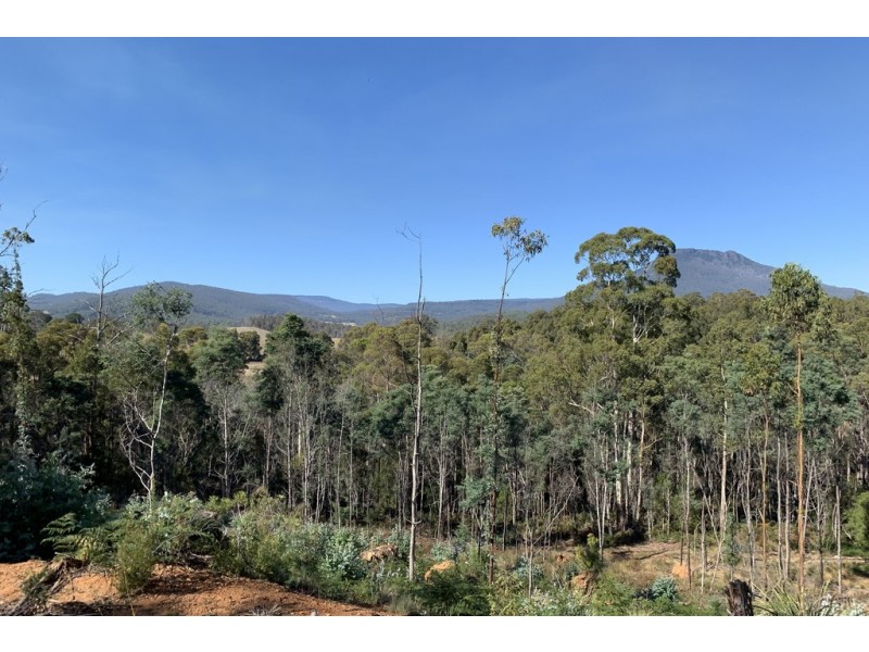 Lot 1 Maroneys Road, Quamby Brook TAS 7304