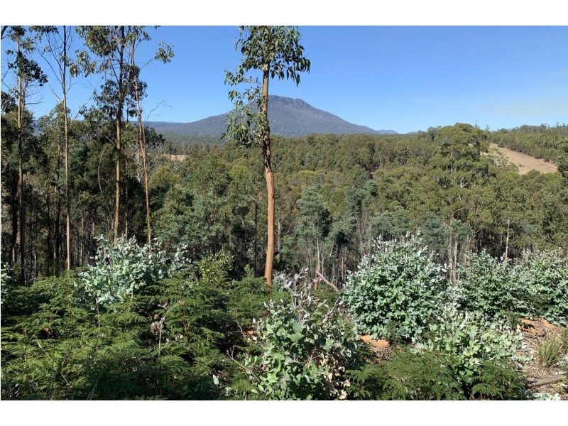 Lot 1 Maroneys Road, Quamby Brook TAS 7304