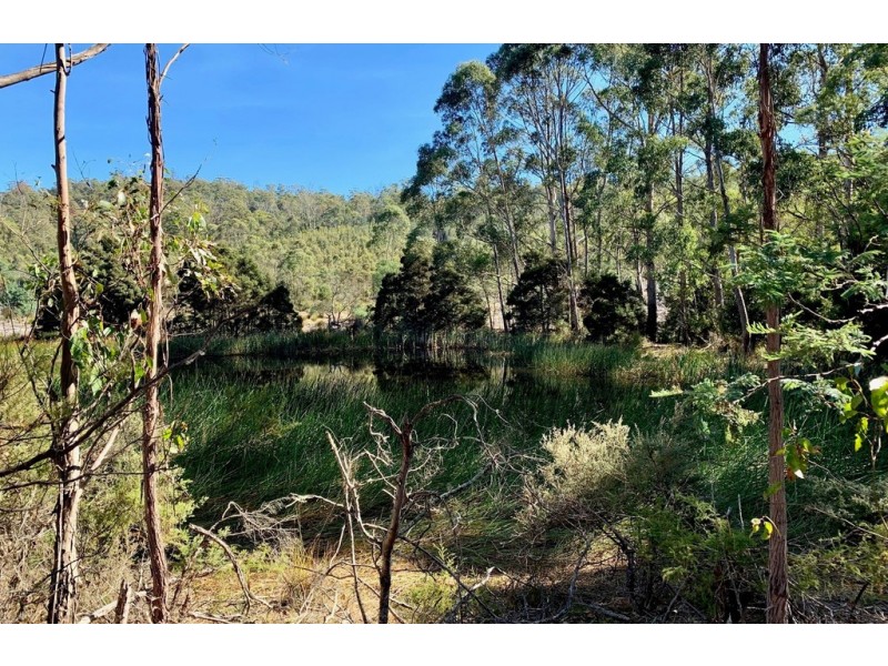 Lot 1 Maroneys Road, Quamby Brook TAS 7304