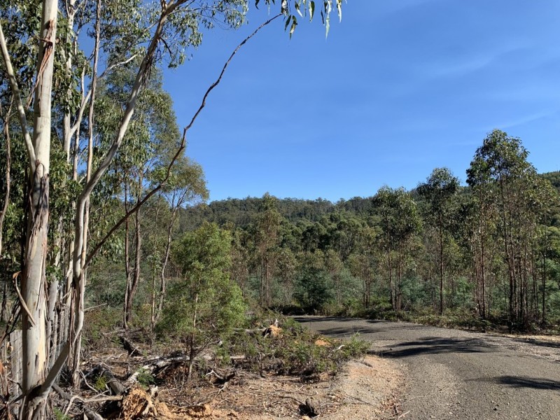 Lot 1 Maroneys Road, Quamby Brook TAS 7304