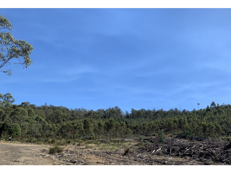 Lot 1 Maroneys Road, Quamby Brook TAS 7304