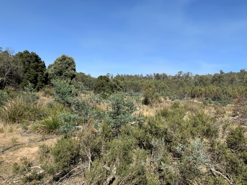 Lot 1 Maroneys Road, Quamby Brook TAS 7304