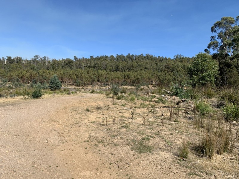 Lot 1 Maroneys Road, Quamby Brook TAS 7304