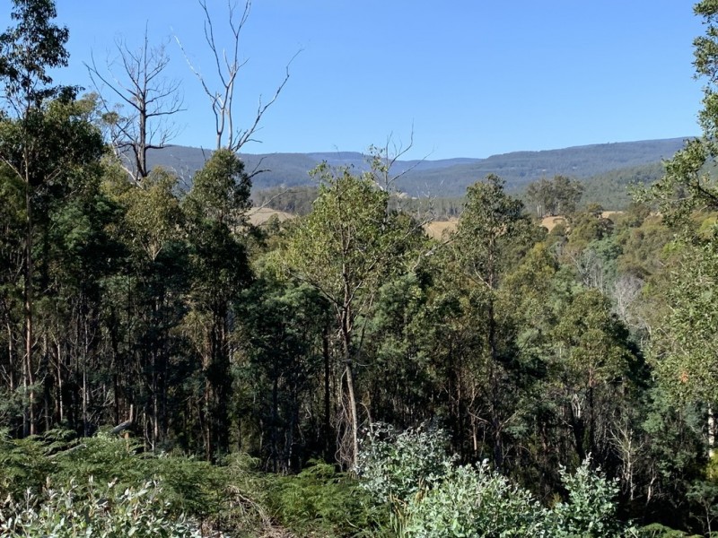 Lot 1 Maroneys Road, Quamby Brook TAS 7304