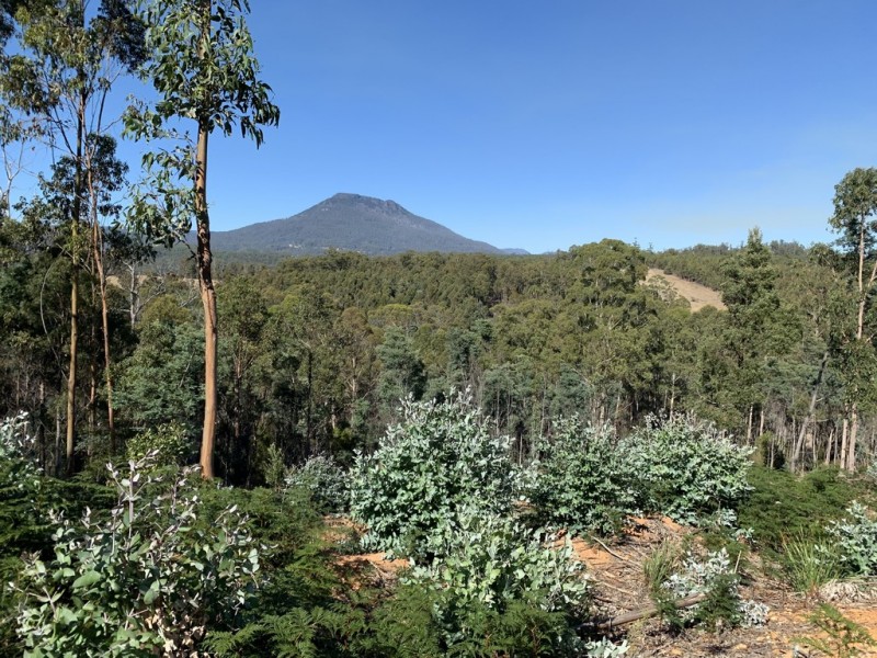 Lot 1 Maroneys Road, Quamby Brook TAS 7304