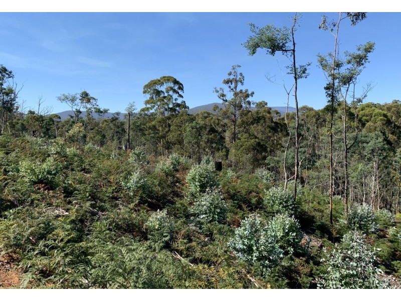 Lot 1 Maroneys Road, Quamby Brook TAS 7304