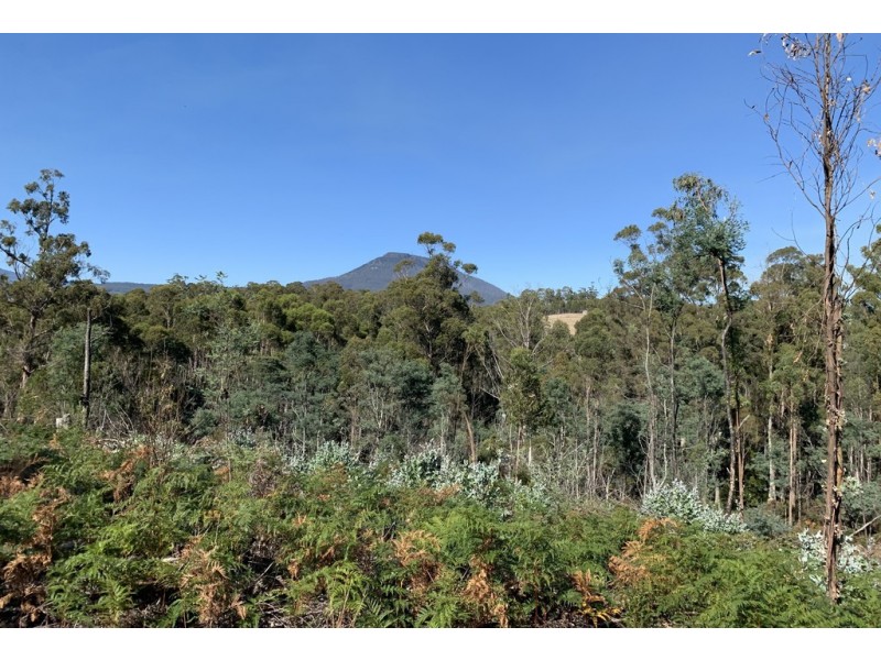 Lot 1 Maroneys Road, Quamby Brook TAS 7304