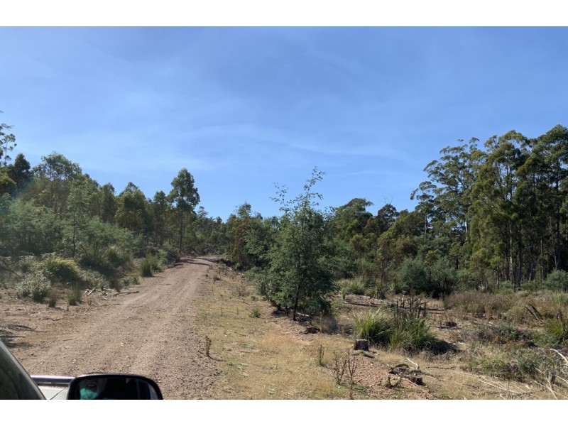 Lot 1 Maroneys Road, Quamby Brook TAS 7304