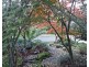 100 Viewbank Road, Newnham TAS 7248