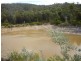 21175 Tasman Highway, Bicheno TAS 7215