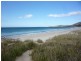 21175 Tasman Highway, Bicheno TAS 7215
