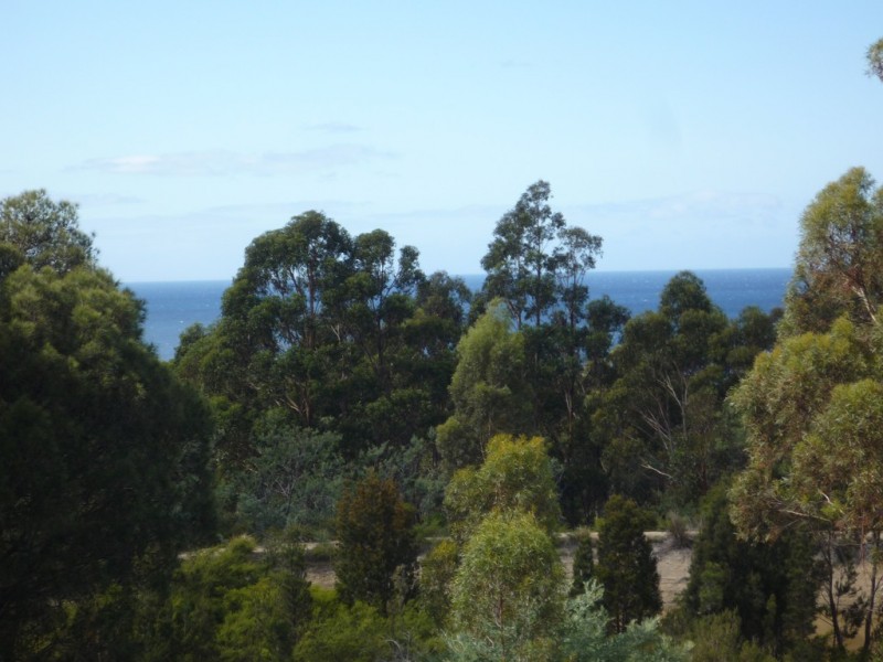 21175 Tasman Highway, Bicheno TAS 7215