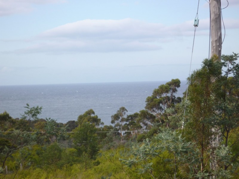 21175 Tasman Highway, Bicheno TAS 7215