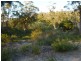 21175 Tasman Highway, Bicheno TAS 7215