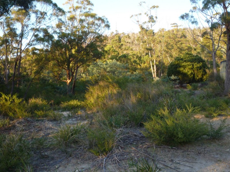 21175 Tasman Highway, Bicheno TAS 7215