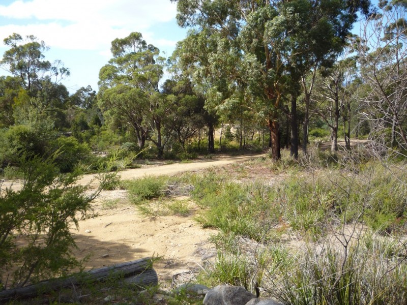 21175 Tasman Highway, Bicheno TAS 7215