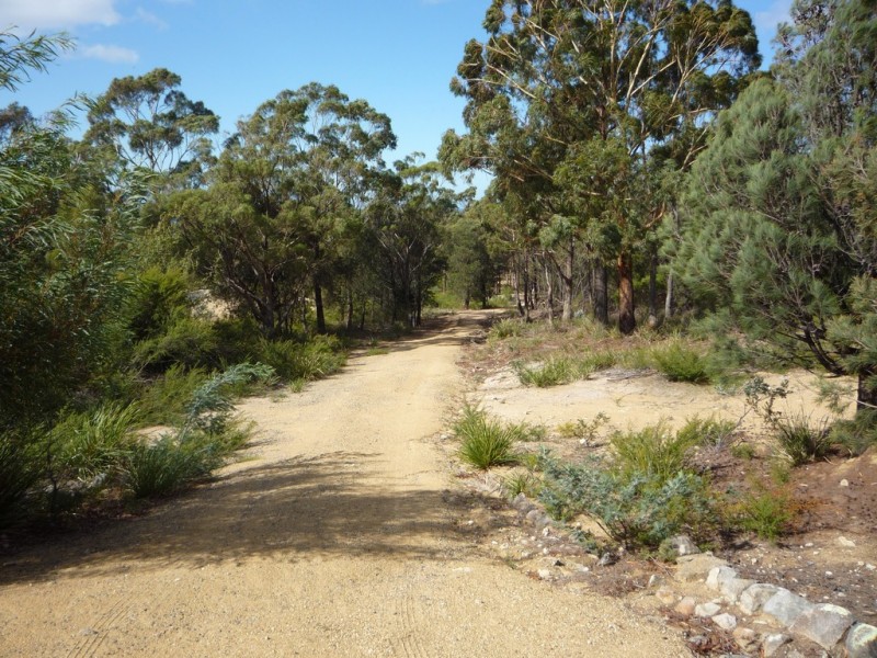 21175 Tasman Highway, Bicheno TAS 7215