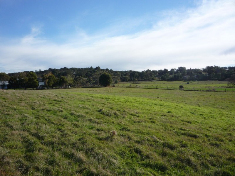 8 Seccombe Street, Perth TAS 7300