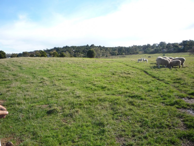 8 Seccombe Street, Perth TAS 7300