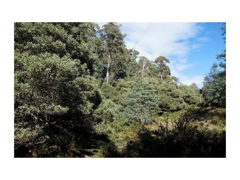 Lots 9 and 11 Dolcoath Road, Moina TAS 7310