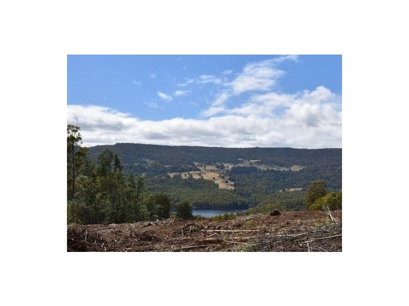 Lots 9 and 11 Dolcoath Road, Moina TAS 7310