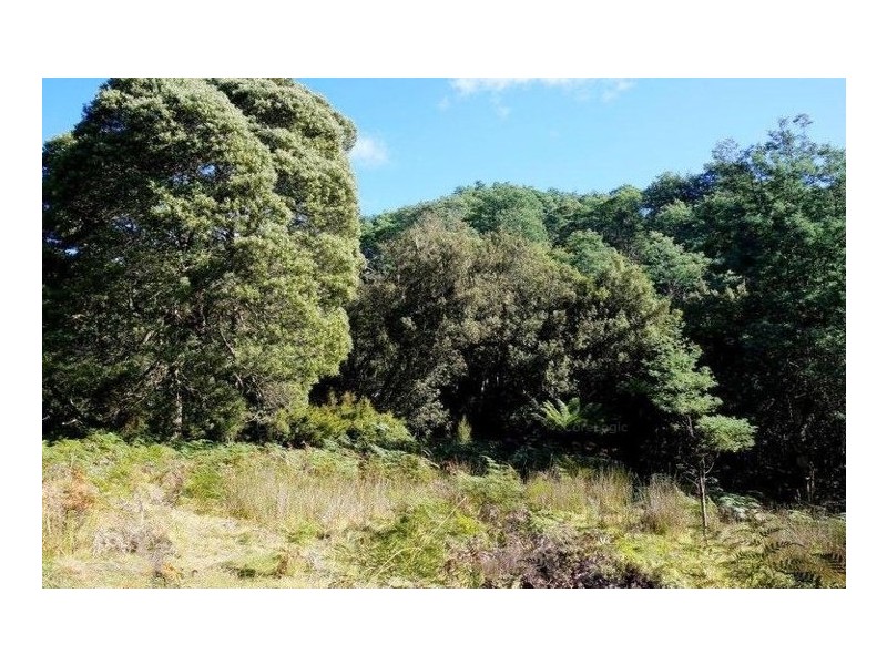Lots 9 and 11 Dolcoath Road, Moina TAS 7310