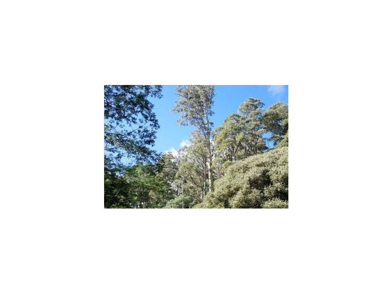 Lots 9 and 11 Dolcoath Road, Moina TAS 7310