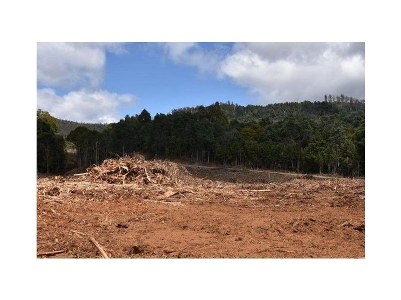 Lots 9 and 11 Dolcoath Road, Moina TAS 7310