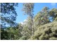 Lots 9 and 11 Dolcoath Road, Moina TAS 7310
