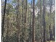 Lot 1 Woodsdale Road, Levendale TAS 7120