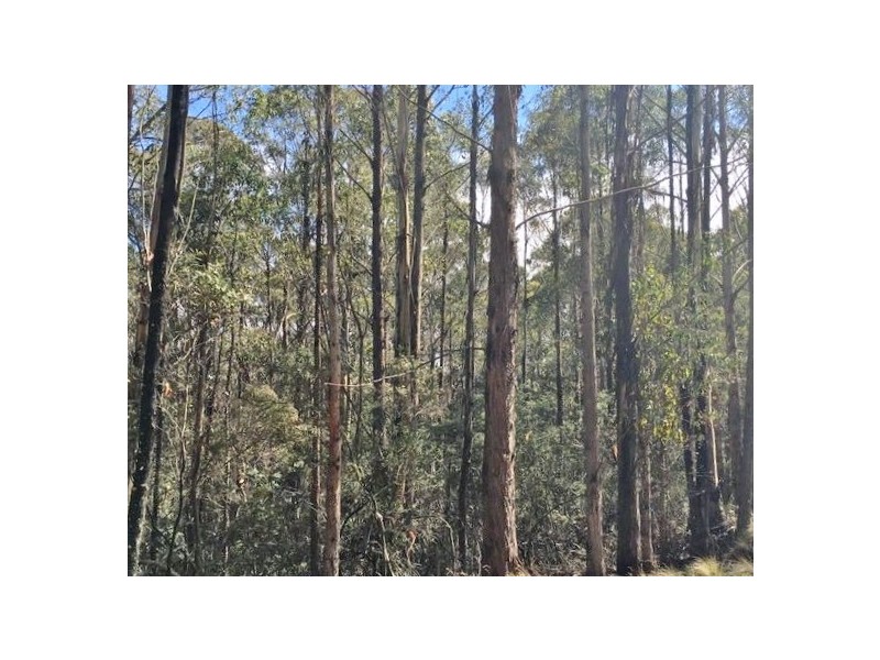 Lot 1 Woodsdale Road, Levendale TAS 7120