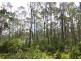 Lot 1 Woodsdale Road, Levendale TAS 7120