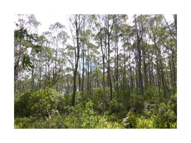 Lot 1 Woodsdale Road, Levendale TAS 7120