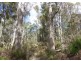 Lot 1 Woodsdale Road, Levendale TAS 7120