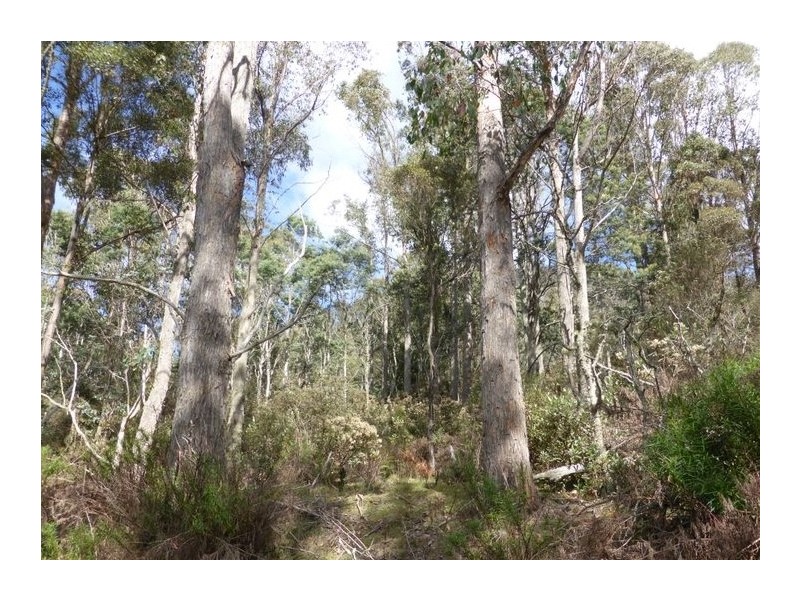 Lot 1 Woodsdale Road, Levendale TAS 7120