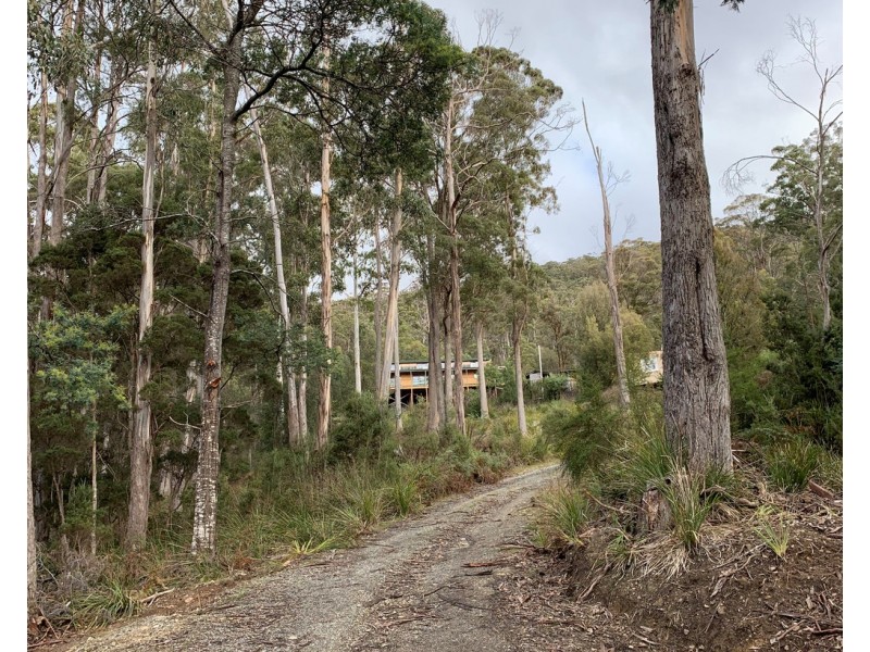 92 Watchorns Road, Karoola TAS 7267