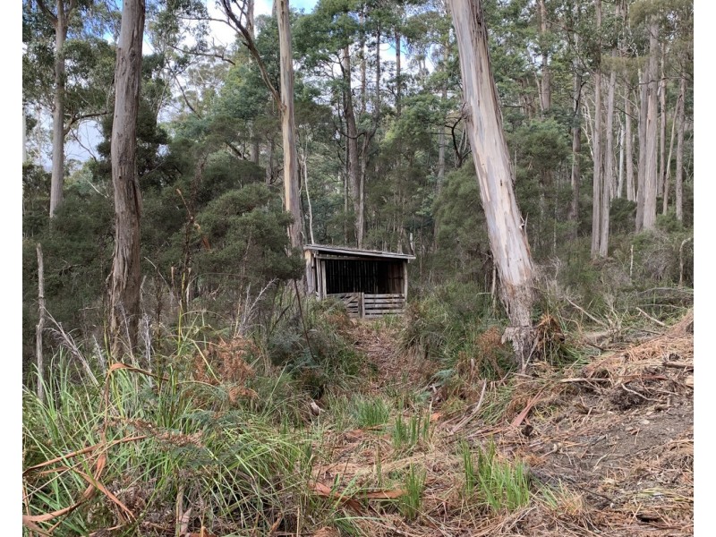 92 Watchorns Road, Karoola TAS 7267