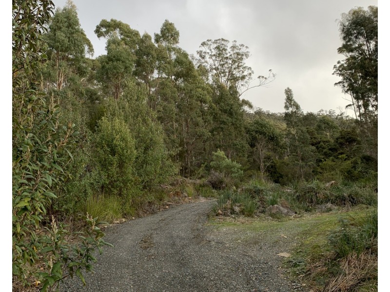 92 Watchorns Road, Karoola TAS 7267