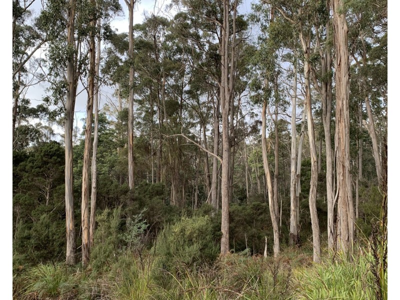 92 Watchorns Road, Karoola TAS 7267