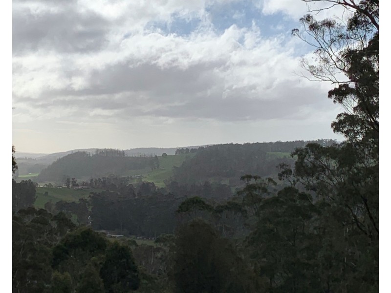 92 Watchorns Road, Karoola TAS 7267