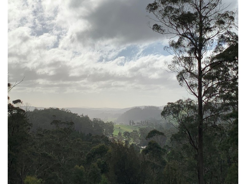 92 Watchorns Road, Karoola TAS 7267