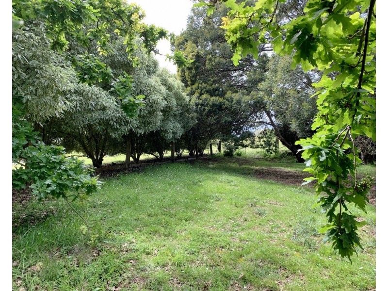 251 Rosevears Drive, Rosevears TAS 7277