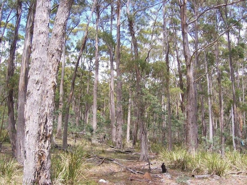 Lot 1 Mill Road, Nugent TAS 7172