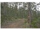 Lot 1 Mill Road, Nugent TAS 7172