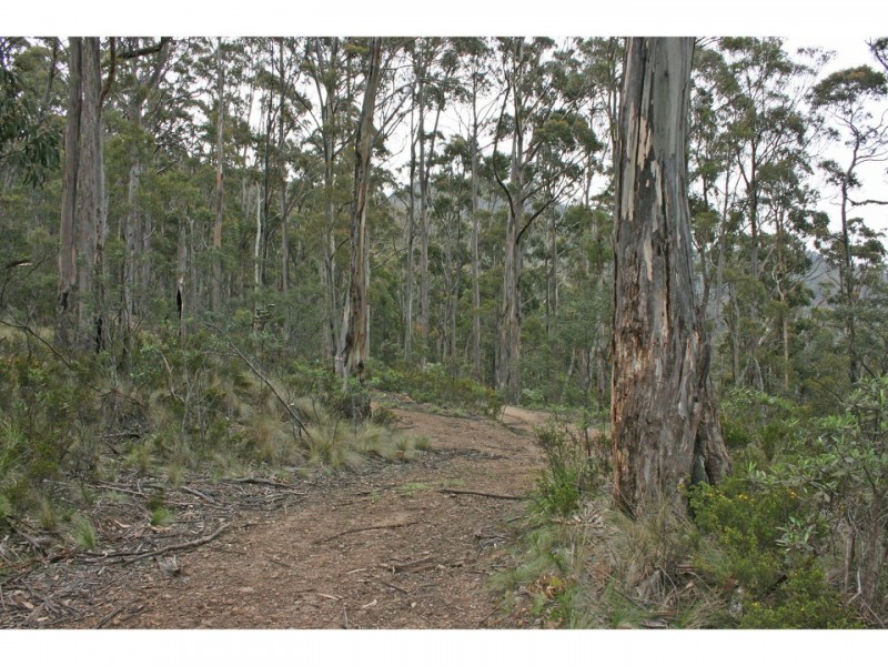 Lot 1 Mill Road, Nugent TAS 7172