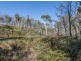Lot 1 Mill Road, Nugent TAS 7172