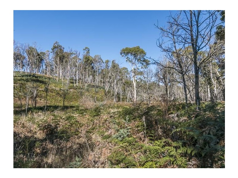 Lot 1 Mill Road, Nugent TAS 7172